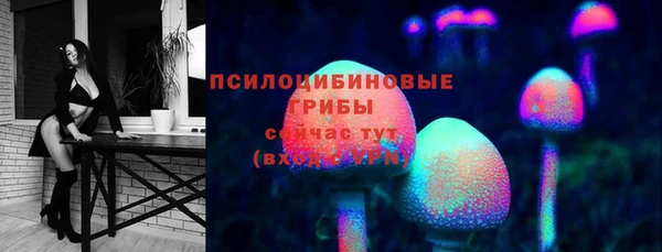 СК Алзамай