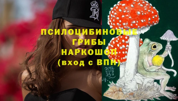 СК Алзамай