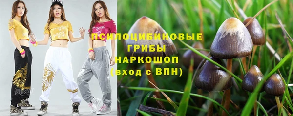 СК Алзамай
