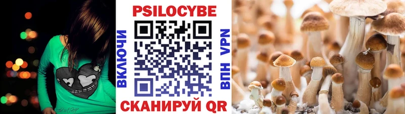 Псилоцибиновые грибы Psilocybine cubensis наркота гидра зеркало darknet телеграм Котельники
