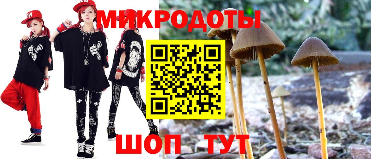закладка  Галлюциногенные грибы MAGIC MUSHROOMS  Вход с VPN  Котельники  Галлюциногенные грибы Cubensis 